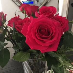 Meet your Posher, Claudia